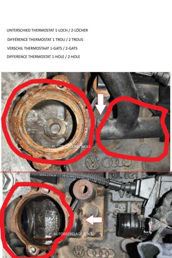 MOTEUR 1.6TDI CAY VAG  - Vue 1